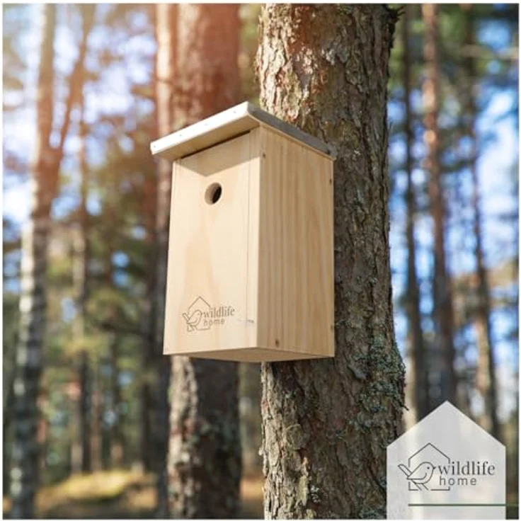 WILDLIFE HOME Nistkasten Meisen 2er Set, wetterfestes Massiv-Holz mit Metalldach für Blaumeisen, inklusive einfach zu reinigender Aufkapp-Front, nach NABU – Bild 3