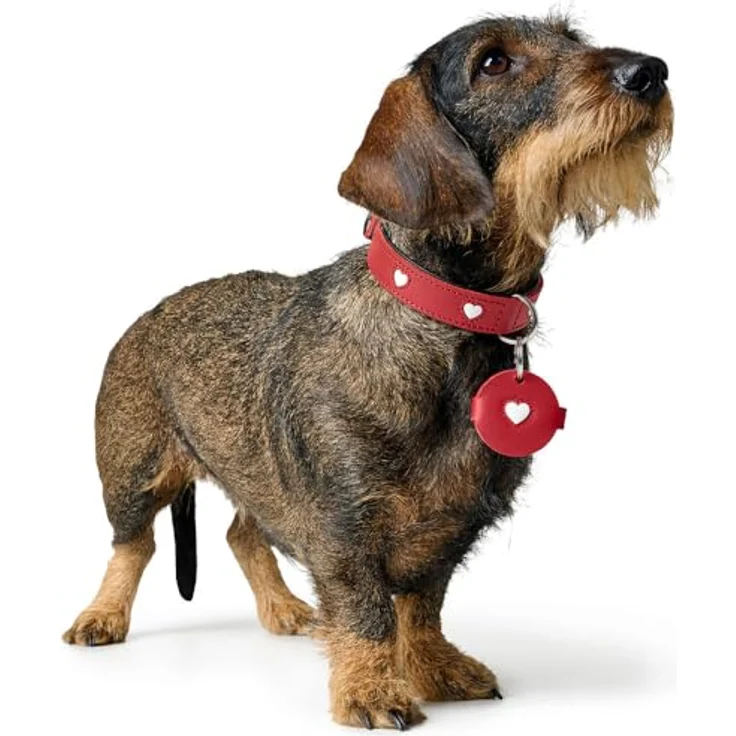 HUNTER Anhänger Hundemarken-Etui Love, rotes Etui für Hundemarken, Größe S, Made in Germany – Bild 5