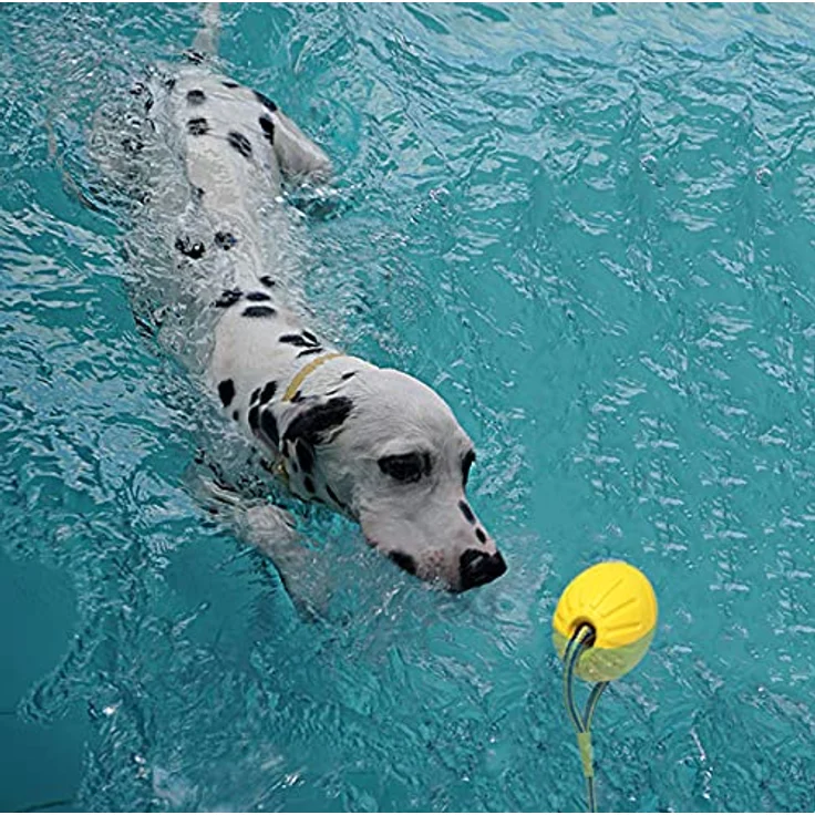 MMSGA Fling Durafoam Ball mit Seil, Hunde-Wasserspielzeug für kleine und mittelgroße Hunde, 7 cm, reißfestes Schaumstoffmaterial, schwimmfähig – Bild 4