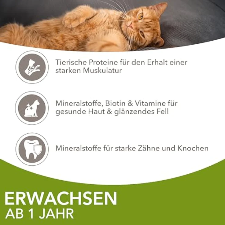 IAMS Delights Land Collection Katzenfutter Nass, Multipack mit Lamm, Rind, Huhn & Pute in Sauce, 12 x 85g, für Katzen ab 1 Jahr – Bild 4
