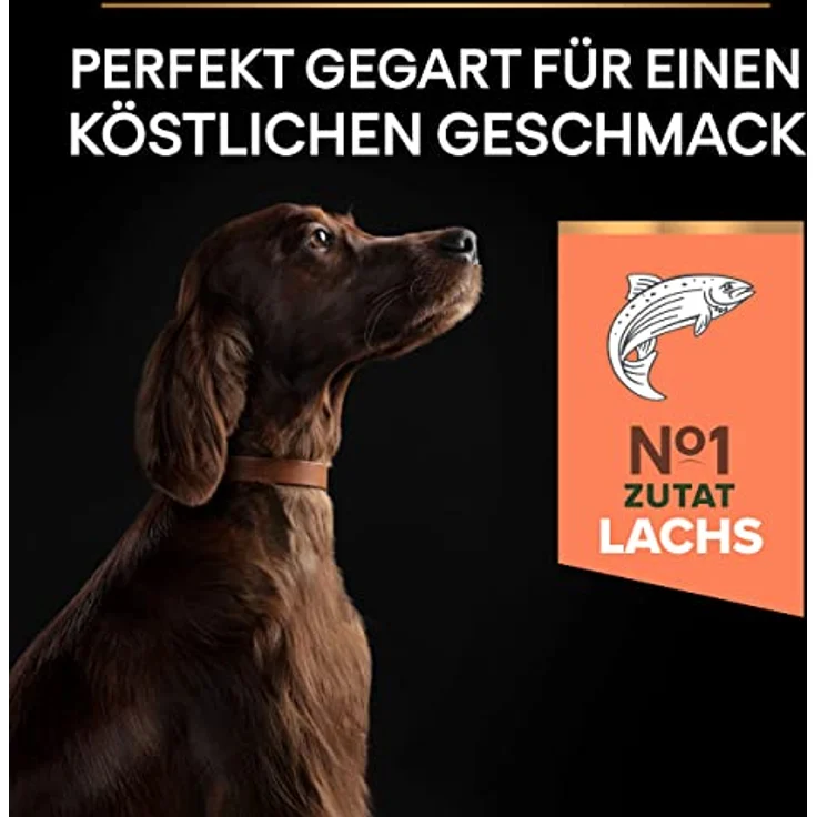 Pro Plan PRO PLAN Large Athletic Adult Hundefutter, weizenfrei für empfindliche Haut, 14 kg – Bild 5