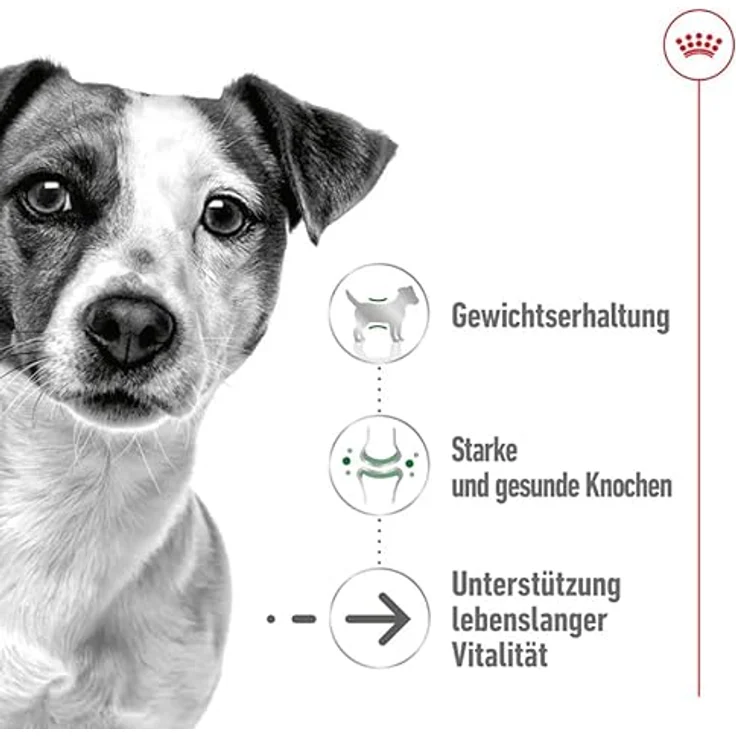 Royal Canin Mini Ageing 12+, Alleinfuttermittel für kleine Senior Hunde, 4x12x85g, unterstützt die Nierengesundheit – Bild 5