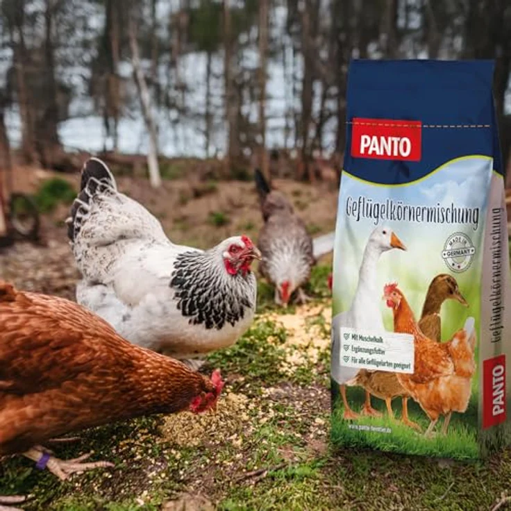 PANTO Geflügelkörnermischung GKM 25 kg, Ergänzungsfutter für Hühner, Enten und Gänse mit Muschelkalk und Sonnenblumenkernen – Bild 3