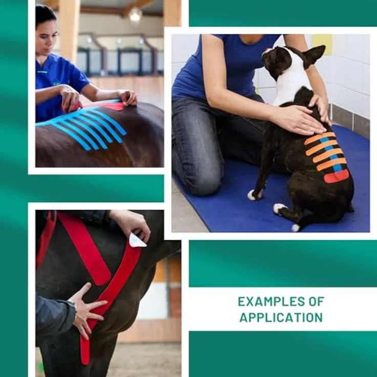 VETKIN VetkinTape Kinesiologie Tape für Tiere, 10cm x 5m, latexfrei, starke Acryl-Klebeschicht, Orange, für Pferde und Hunde – Bild 5