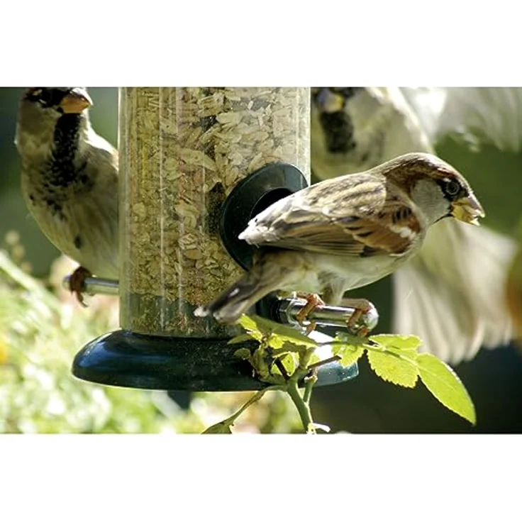 Transparente Futtersäule mit 2 Anflugstangen, Wildvogel-Futterstaton zum Aufhängen, 9,5 x 9,5 x 23 cm, Edelstahl – Bild 5