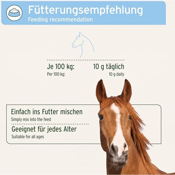 AniForte Bierhefe BT Pur, 5 kg Ergänzungsfuttermittel für Pferde, unterstützt Magen-Darm-Funktion und sorgt für glänzendes Fell – Bild 4