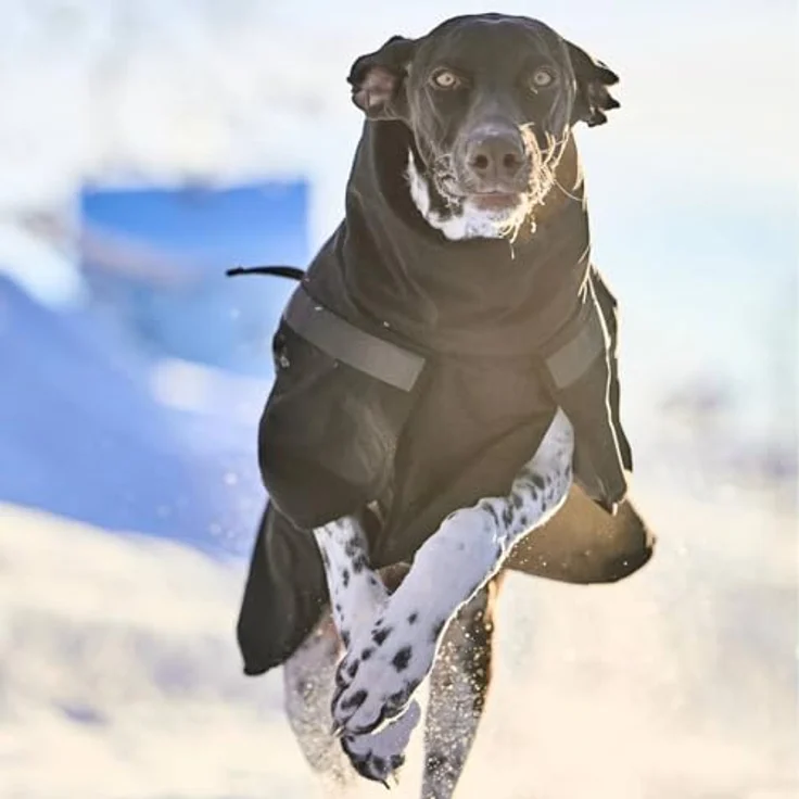 Non-stop dogwear Hundemantel Trekking Insulated Dog Jacket schwarz, leicht und strapazierfähig – Bild 7