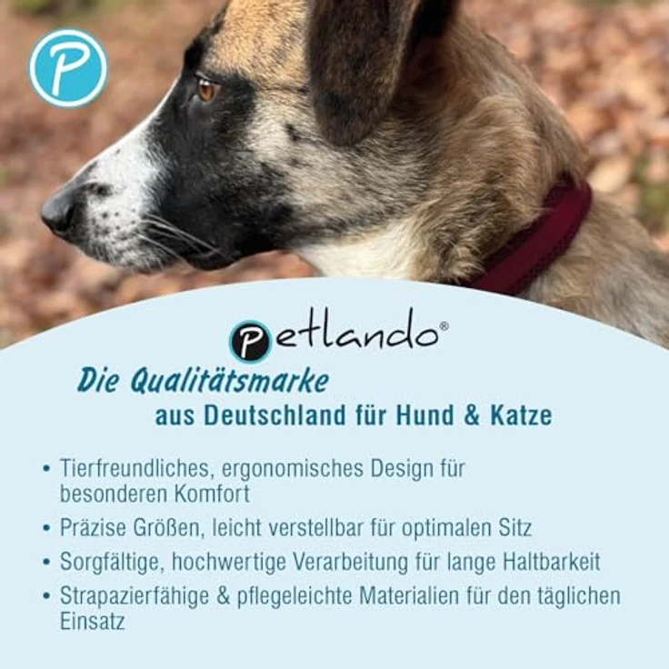 Petlando Mesh Hundehalsband L 50-55cm, atmungsaktiv und weich gepolstert, stufenlos verstellbar, robust, Navy – Bild 3