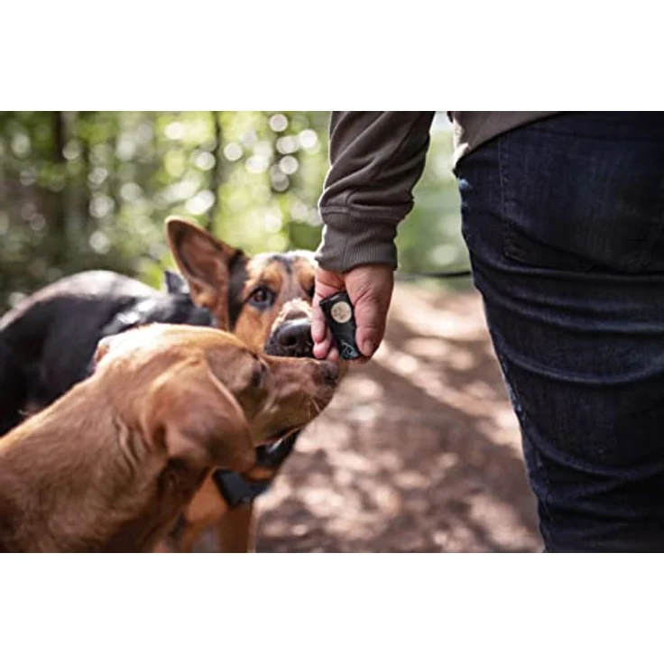 The Sustainable People TSP Bio-abbaubare Hundekotbeutel mit Henkeln, 100% heim-kompostierbar, extra dick (18µm), 252 Beutel (18 Rollen) – Bild 5