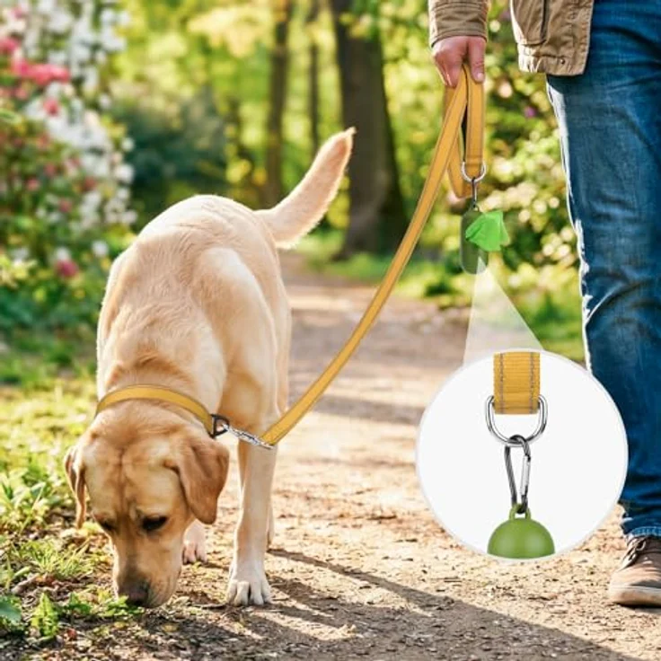 Joytale Hundeleine für kleine Hunde, 1,8 m x 2 cm, doppelseitig reflektierend, aus Nylon mit gepolstertem Griff, braun – Bild 2