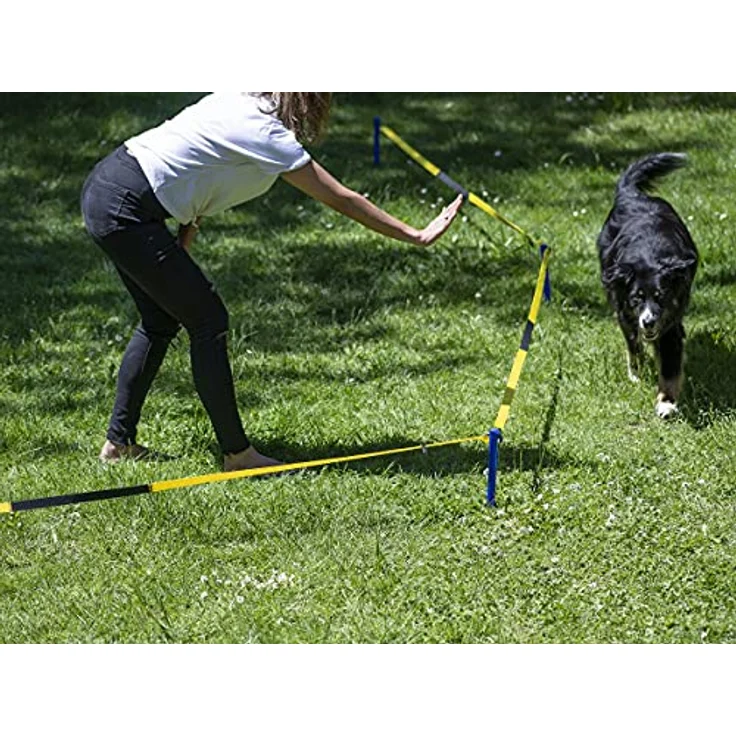 Procyon Tier-Intelligenzspielzeug Longier-Set für Hunde, Kunststoff - Trainingsform zur Festigung der Bindung und Kommunikation, Nylonmaterial, 10m Nylonschnur, 8x Nylongurt, 9x Erdnägel – Bild 8