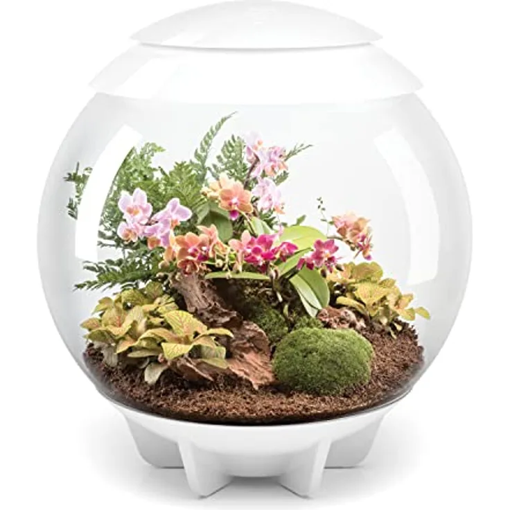 biOrb Terrarium AIR (60 l, Weiß), geschlossenes Mikroklima mit automatischer Luftfeuchtigkeitsregelung und intelligentem LED-Lichtzyklus