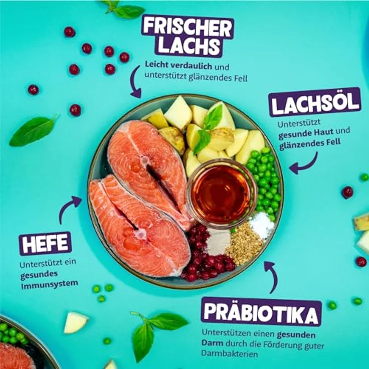 Edgard & Cooper Katzenfutter, Trockenfutter mit frischem Lachs, 2kg, getreidefrei, für aktive und sterilisierten Katzen – Bild 2