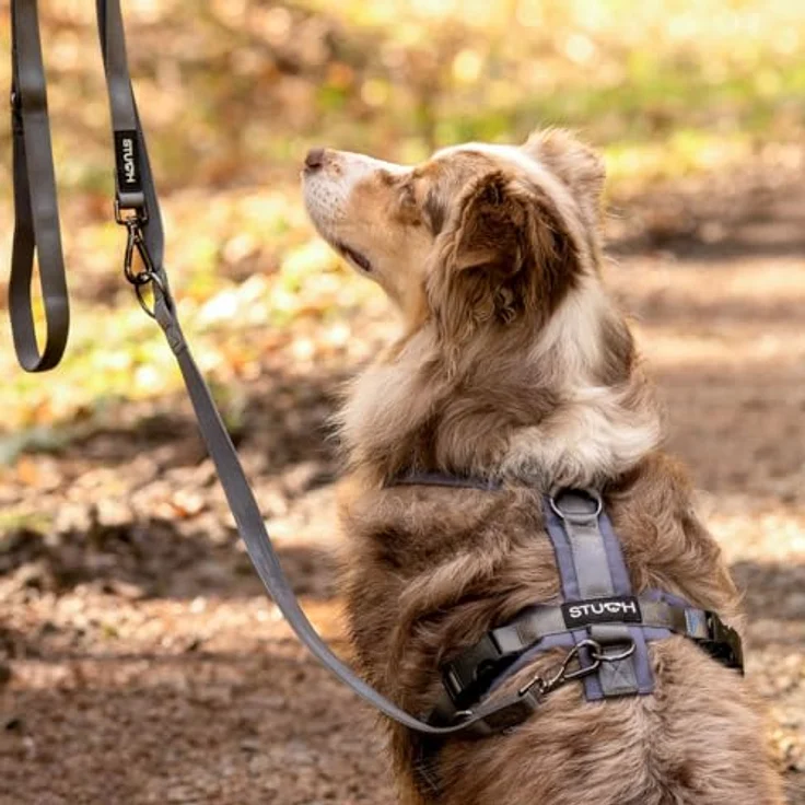 STUCH Hundegeschirr STUCH - Gepolstertes verstellbares Nylon Geschirr - Vegan - Schwarz – Bild 7