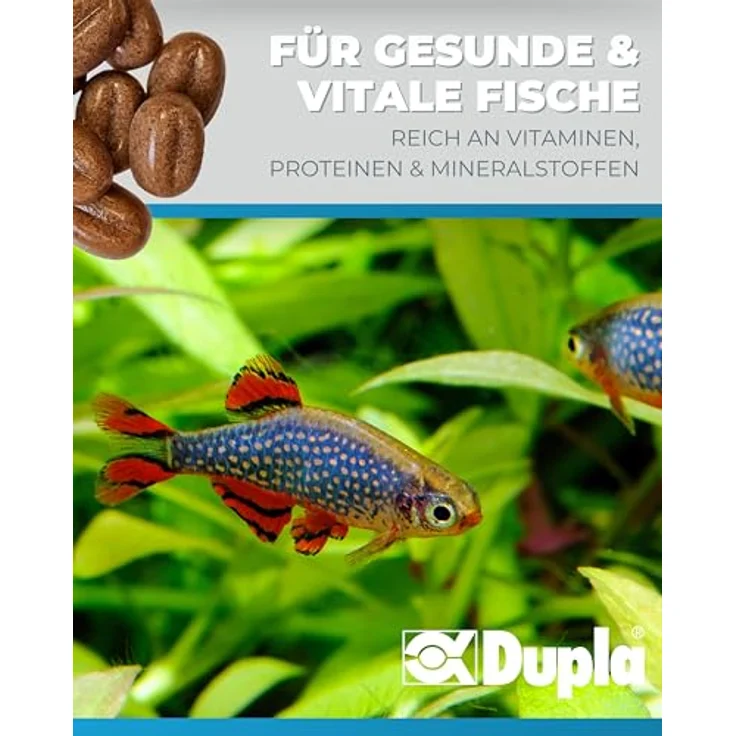 Dupla Gel-O-Drops Artemia I 12 x 2 g I Näherstoffreiches Geleefischfutter mit Artemien I Leicht dosierbar und ungekühlt lagerbar – Bild 3