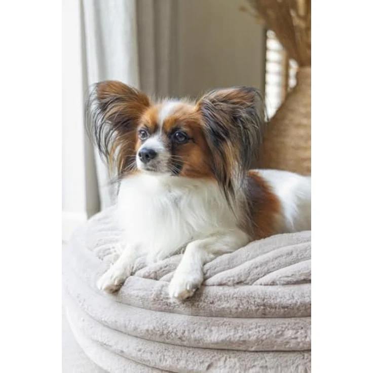 Designed By Lotte Tierkissen Hundekissen Reza rund beige - Nachhaltiges Hundekissen mit recycelter Füllung und rutschfester Unterseite – Bild 3