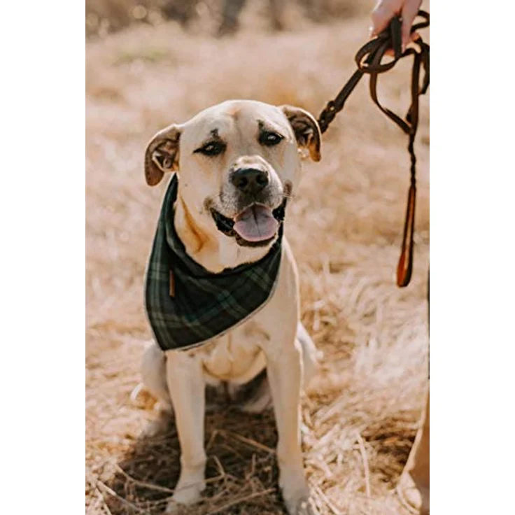 Unique style paws Hundeschal, Waschbares Halsdreieck aus Baumwolle für kleine bis große Hunde und Katzen, Größe Klein bis Groß, 58cm-76.2cm Halsumfang – Bild 5
