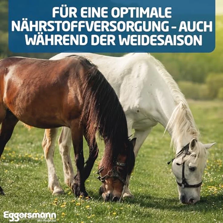 Eggersmann Mein Pferdefutter Mineral Bricks 4 kg - Mineralfutter mit Vitaminen und Mineralstoffen zur Stoffwechselunterstützung - Mit Knoblauch für Fliegenabwehr – Bild 4