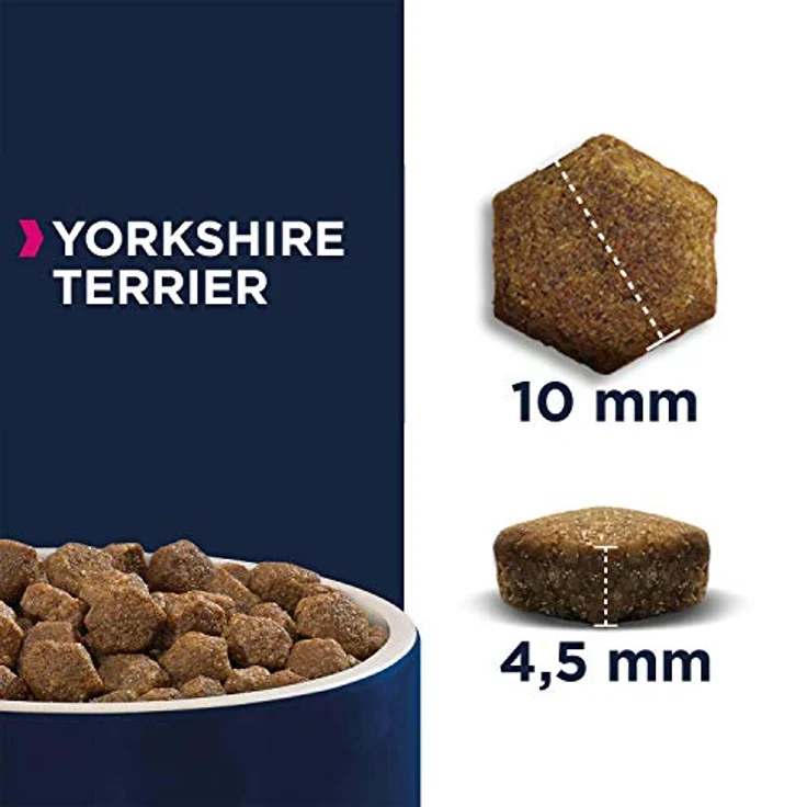 Eukanuba Breed Specific Yorkshire Terrier Trockenfutter, Premium Hundefutter mit Huhn für Yorkshire Terrier, 2 kg, unterstützt gesunde Haut und glänzendes Fell – Bild 4