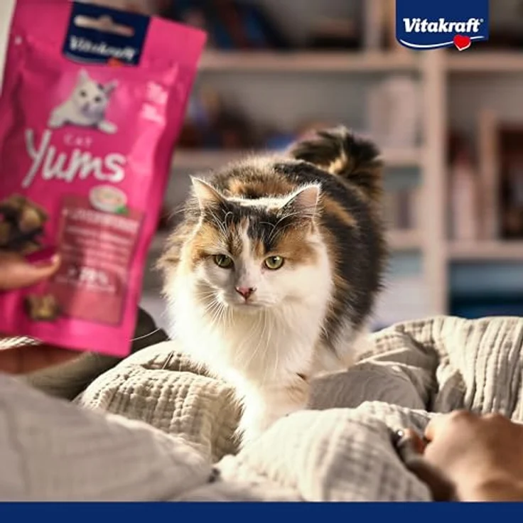 Vitakraft Cat Yums Leberwurst, Sparpaket mit 70% Fleischanteil, 3 x 40 g, ohne Zucker, saftige Konsistenz – Bild 7