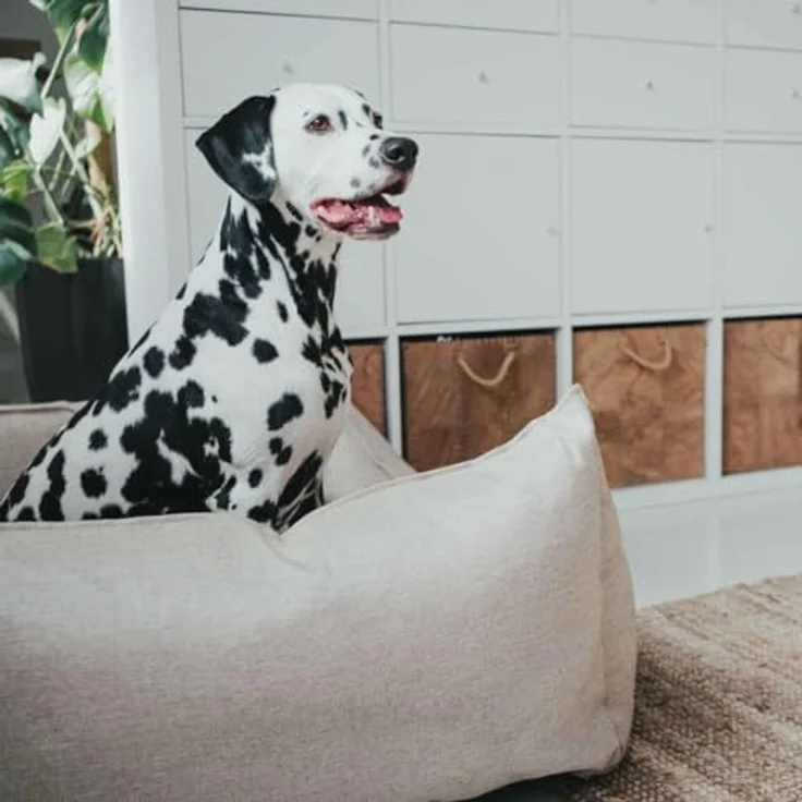 Hunter Hunde-Sofa Livingston beige M – 80x60 cm – Bild 9