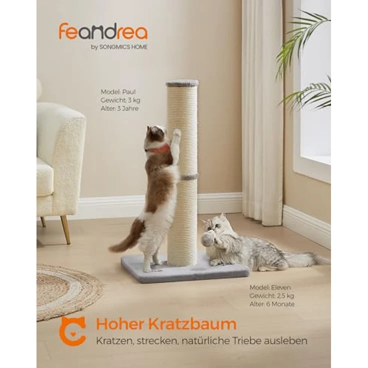 Famanu Katzenkratzbaum 85 cm hoch, dicke Säule aus robustem Sisal, taubengrau, mit Plüschball und Glocke – Bild 3