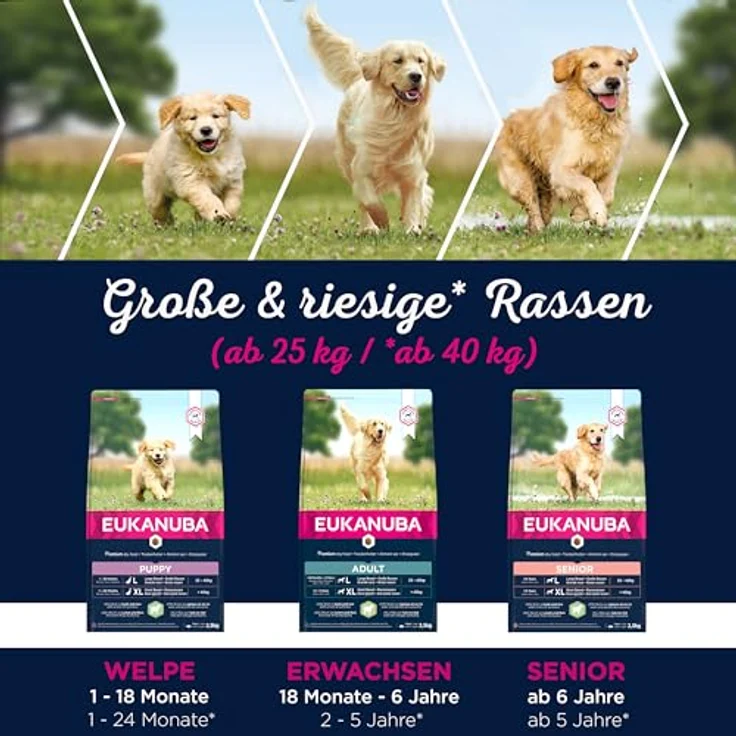 Eukanuba Hundefutter Lamm & Reis für große Rassen, Trockenfutter für ausgewachsene Hunde, 12 kg, mit DentaDefense und Glucosamin – Bild 5