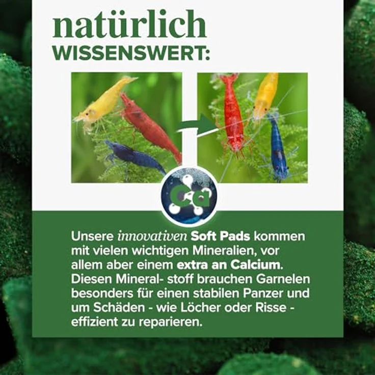 NatureHolic Garnelenfutter Mainfeed, 30 g Softpads für Aquarien, made in Germany, frei von Fischmehl, unterstützt Wachstum und Panzeraufbau – Bild 4
