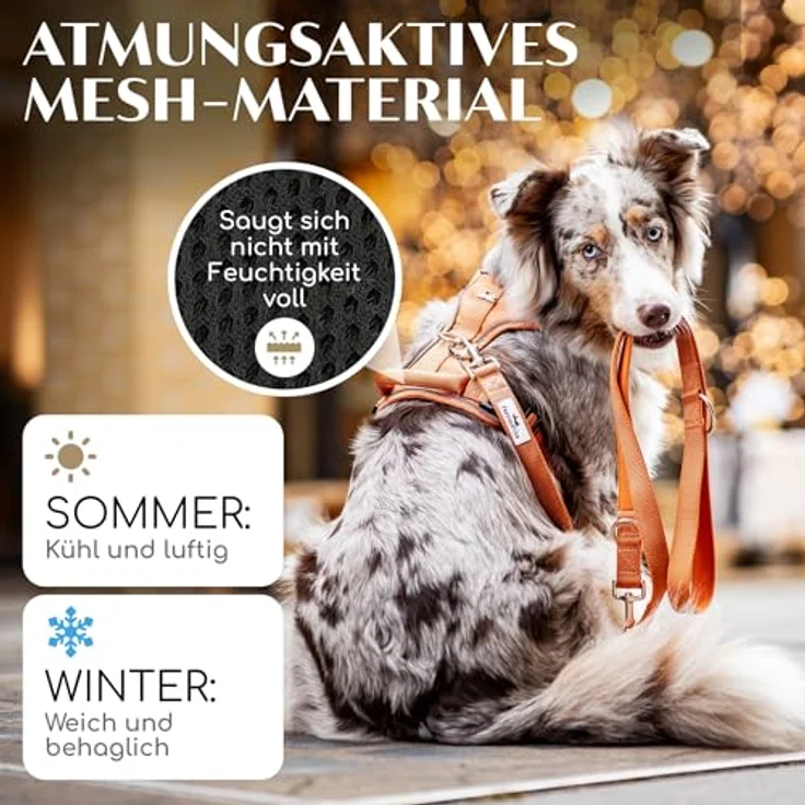 FREUDENTIER Hundegeschirr Orange, mit Mesh-Polsterung, Anti-Zug-Frontring, verstellbar für max. Komfort und Sicherheit, Größe L – Bild 4