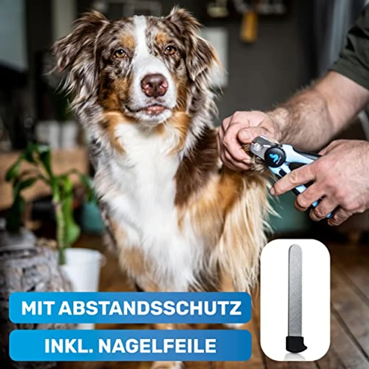 BluePet Krallenschere für Hunde & Katzen, Einsteigerfreundlich mit integriertem Krallenfeilen, sicherer Halt und Abstandshalter, ideal für kleine & große Krallen – Bild 5
