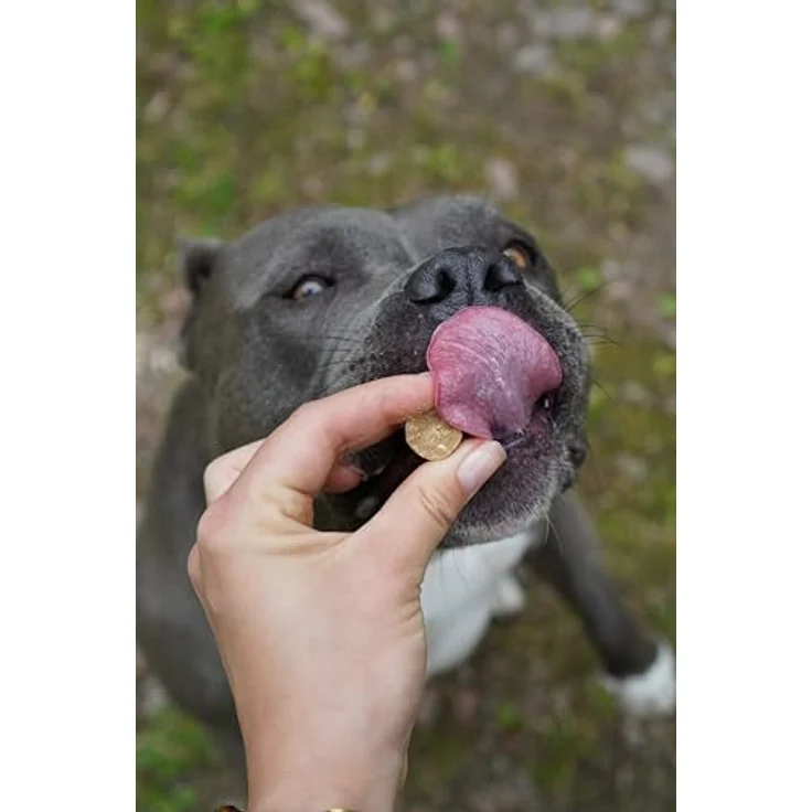 Bellfor Complete-Snack ZEComplete für Hunde – 150 g getreidefreier Hundesnack mit natürlichen Rohstoffen und hoher Laurinsäure-Konzentration – Bild 5
