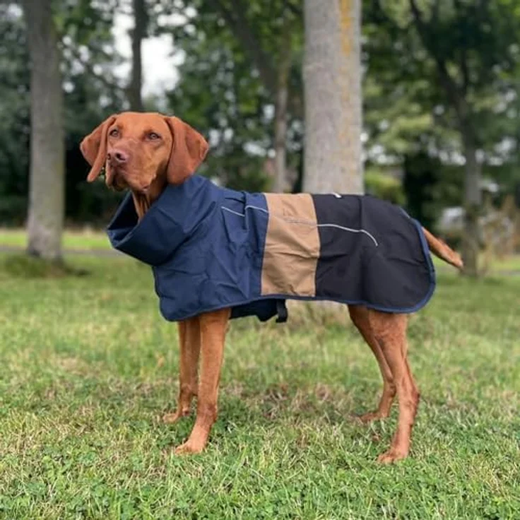 Spark Paws Hunderegenmantel, wasserdicht und winddicht, reflektierender Trockenanzug für Hunde, Ganzkörperabdeckung, Blau/Gold/Schwarz – 2XL – Bild 5