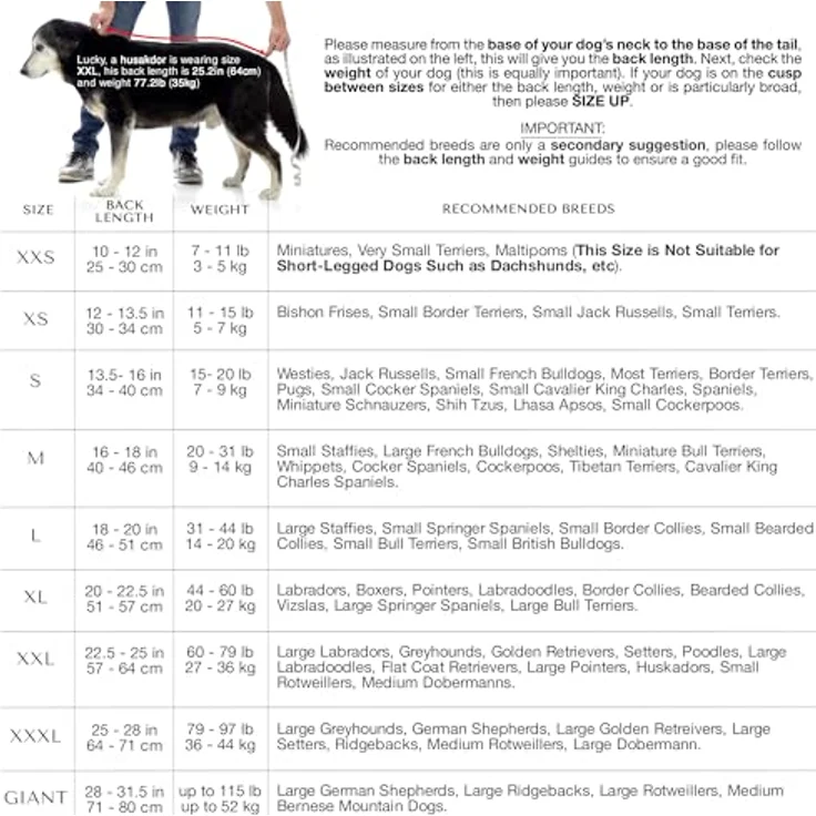 Lucky Paws® Hundebademantel – doppellagiger, ultra-absorbierender & luxuriös weicher Hunde Bademantel in Dunkelgrün – für schnelles Trocknen und perfekten Komfort (S) – Bild 5