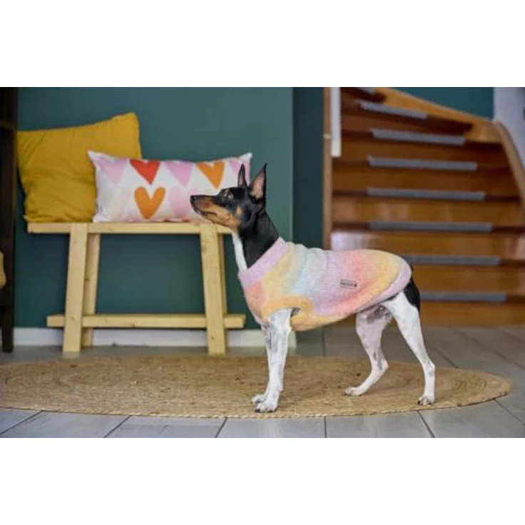 WOLTERS Strickpullover Sunset, Hundebekleidung in Orange – Bild 4