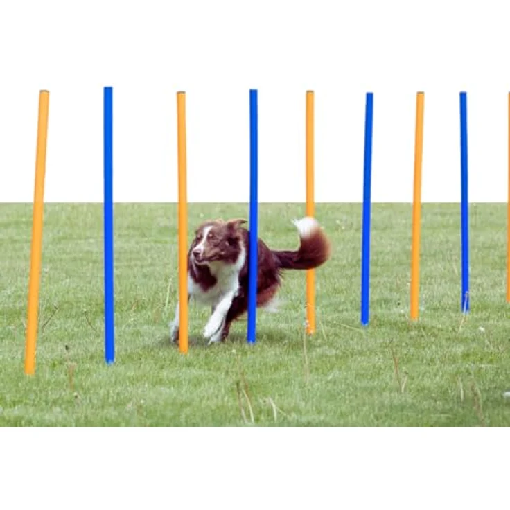 Trixie Dog Activity Agility Slalom, Kunststoff 115xø 3 cm, 12 St. blau-orange – Bild 2