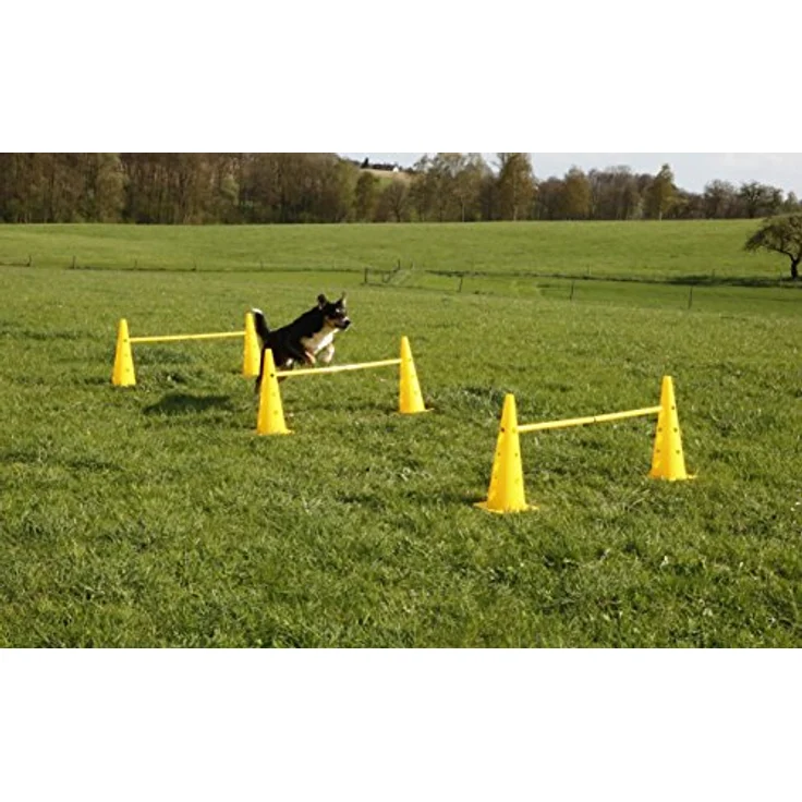 Kerbl Pet Agility Pylonen-Hürden Set, gelb, 3 höhenverstellbare Hürden für Slalomlauf und Training, inkl. 6 Pylonen und 3 zerlegbaren Kunststoffstangen – Bild 5