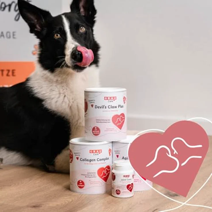 GRAU Devil's Claw Plus, Ergänzungsfuttermittel für Hunde mit Teufelskralle zur Unterstützung der Gelenke, 250g – Bild 2
