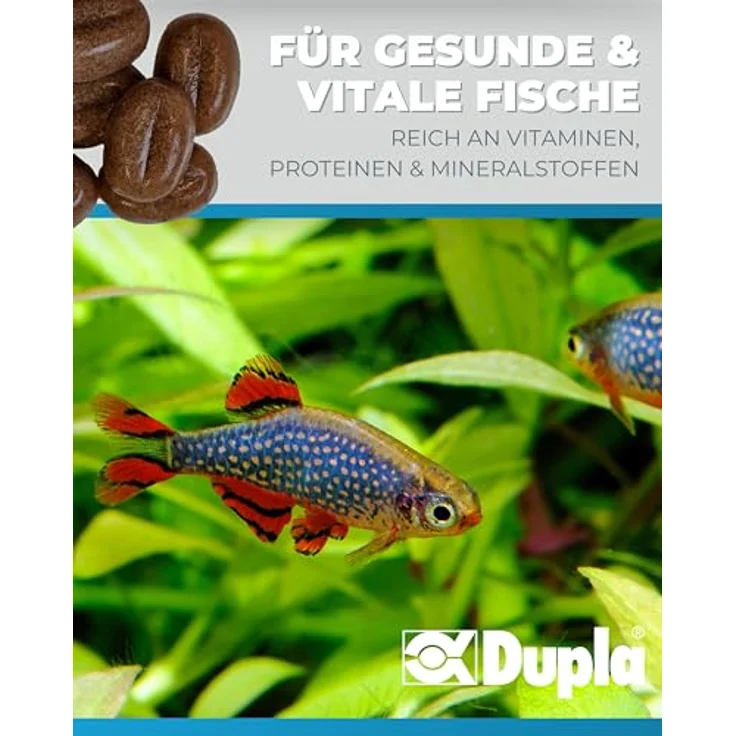 Dupla Gel-O-Drops Weekend, 12 x 2 g, nährstoffreiches Zierfischfutter für bis zu 6 Tage, leicht dosierbar, ungekühlt lagerbar – Bild 3