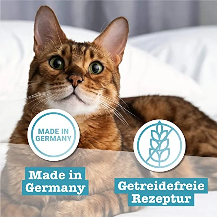 catz finefood N° 13 Hering & Shrimps, 6 x 800g Dosen, feine Feinkost mit Kürbis & Aloe Vera, ohne Konservierungsstoffe – Bild 5
