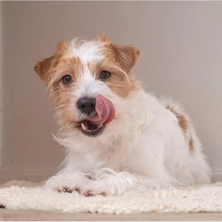 Virbac Nutri-Plus Gel, 120 g, Diät-Ergänzungsfuttermittel mit hoher Energiedichte für Hunde & Katzen – Bild 5