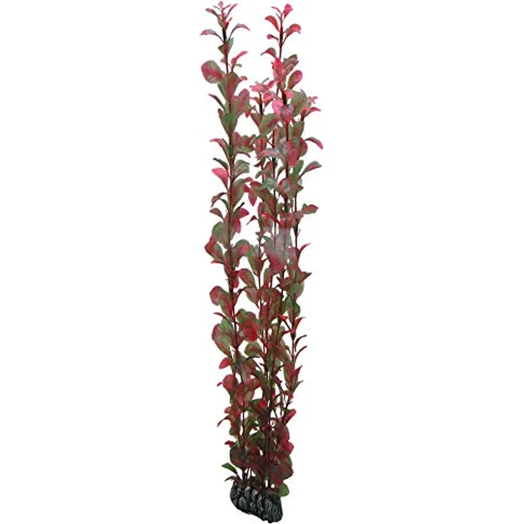 HOBBY Aquariendeko Ludwigia, 60 cm Kunststoffpflanze für Aquarien, naturgetreue Nachbildung mit Felsenbasis