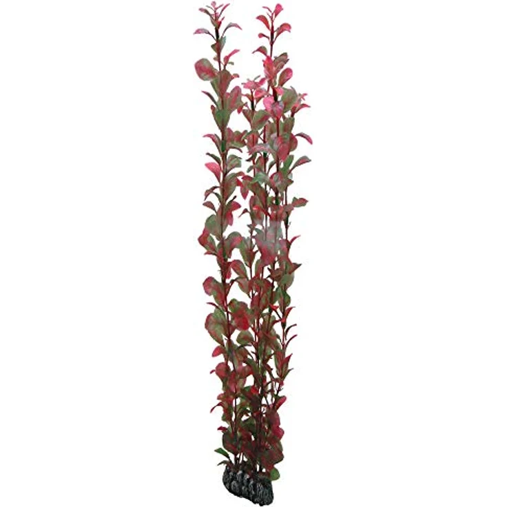 HOBBY Aquariendeko Ludwigia, 60 cm Kunststoffpflanze für Aquarien, naturgetreue Nachbildung mit Felsenbasis – Bild 1