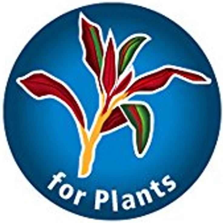 Dupla Plant 24, Wasserpflanzendünger 50 ml für 50.000 Liter, ideal für Aquarienpflanzen, mit Eisen und Spurenelementen, pH neutral, phosphatfrei – Bild 3