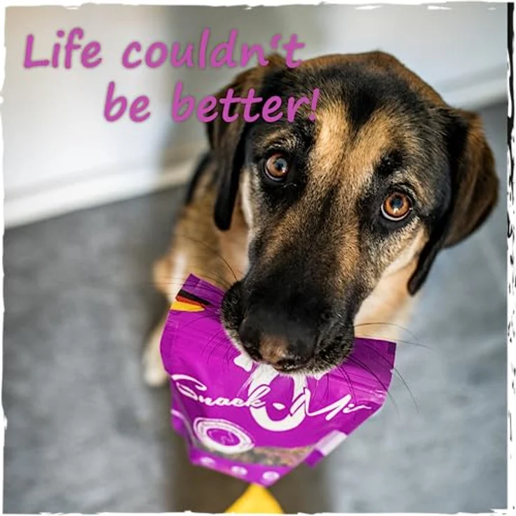 SnackOMio Premium Hundesnack, krosse Pferdehaut 400g, getreidefrei, luftgetrocknet – Bild 4