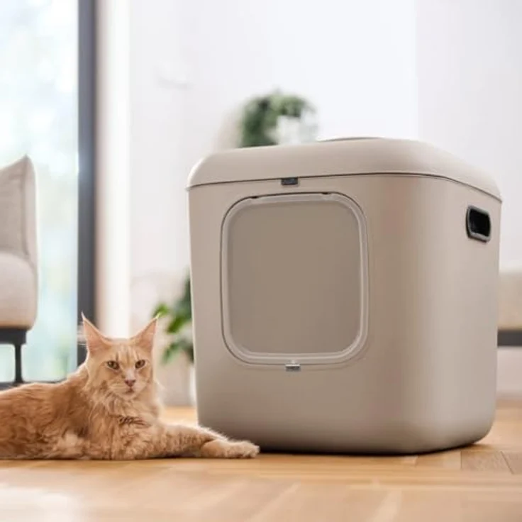 Rotho Katzentoilette BIALA XL, offenes Katzenklo für große Katzen und Mehrkatzenhaushalte, mit Kohlefiltern und ergonomischem Griff – Bild 3
