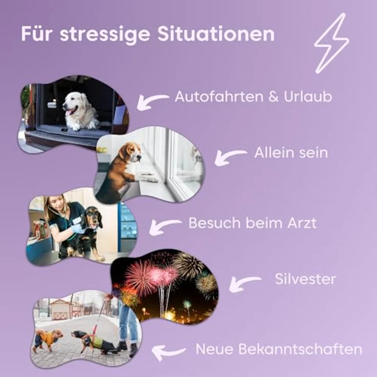 Pfotenkumpels Seelenyoga – Beruhigungs-Snack für Hunde mit Baldrian, Lavendel & Insektenprotein gegen Stress & Angst 200g – Bild 4