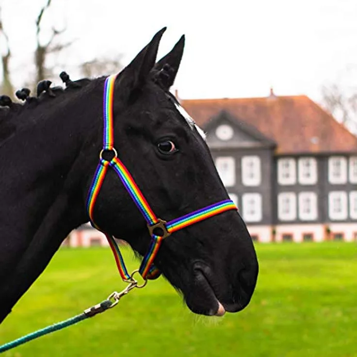 Pferdelinis Halfter für Pferd, 2-fach verstellbar, reißfest & ergonomisch - Bunt (Pony)
