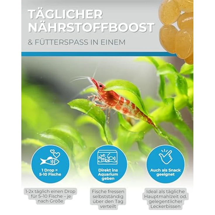 Dupla Gel-O-Drops Cyclops I 12 x 2 g, Geleefischfutter mit Ruderfußkrebsen, leicht dosierbares und nährstoffreiches Aquarienfutter, ungekühlt lagerbar – Bild 5