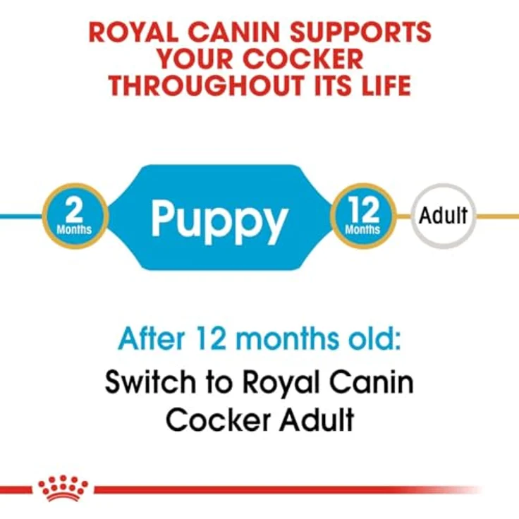 Royal Canin Cocker Puppy, Trockenfutter für Welpen mit gebiss- und maulpflegender Wirkung, 3kg – Bild 5