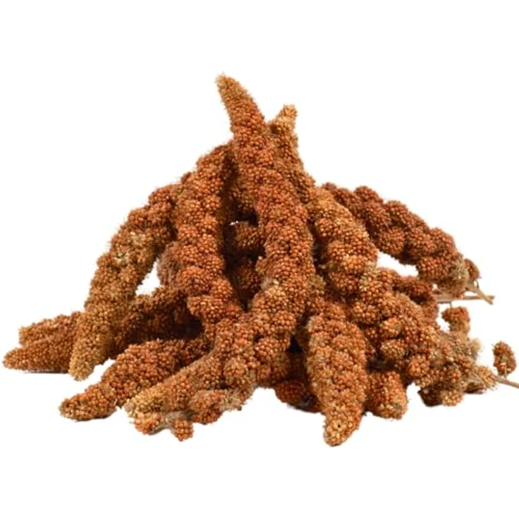 Lyra Pet® Kolbenhirse rot, 2 kg handverlesenes Vogelfutter für Sittiche & Kanarienvögel, natürliche Nährstoffquelle für Zier- und Wildvögel, ideal für das ganze Jahr